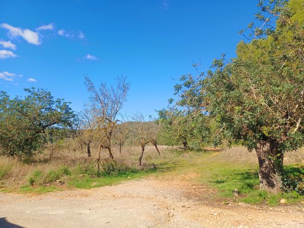 La maison de Ana y Fede