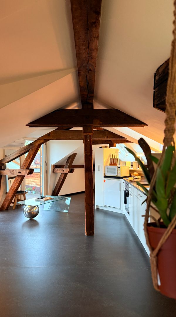 Loft Rooftop centre Zürich