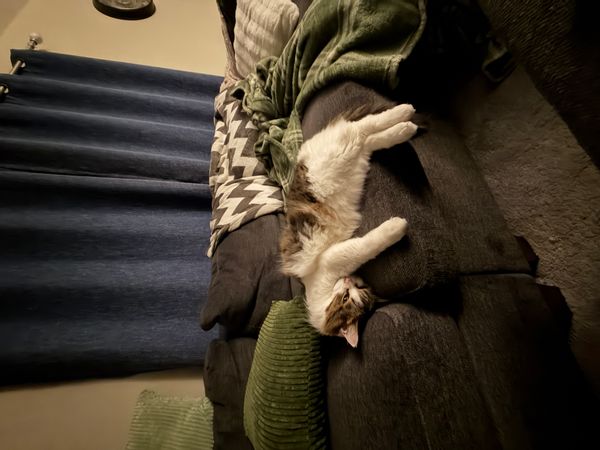 La maison de Savannah