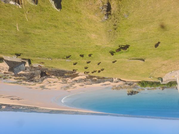 La maison de Linda est à quelques pas de la mer avec un jardin clos. Elle est spacieuse.