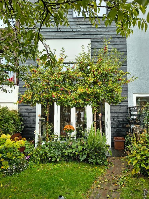 La maison de marenka