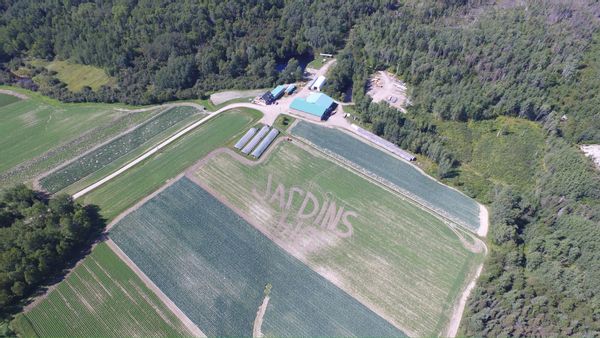 les jardins bio-forestiers