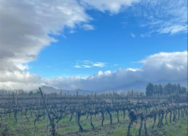 La maison de Gerardo