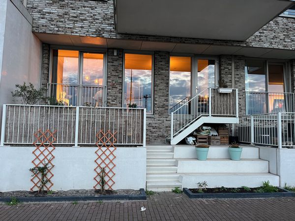 La maison de Family Steigenga