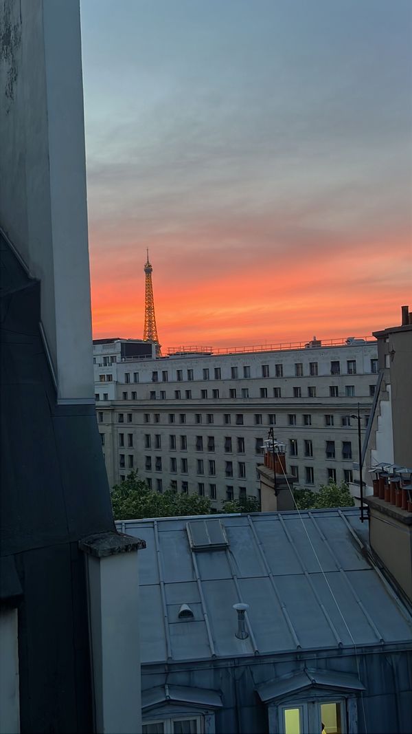 Little parisian nest