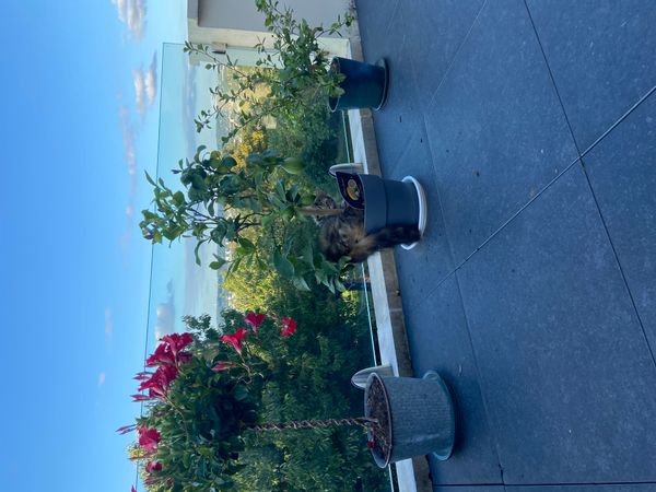 Bienvenue dans notre chambre privée avec salle de bain et accès terrasse !