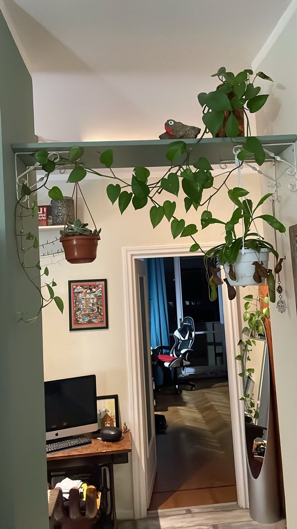 La maison de Virginia