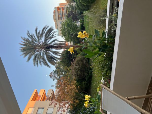 Magnifique studio sécurisé avec terrasse - résidence Les Antilles, quartier de la Pointe Rouge.