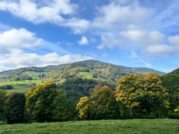 La maison de T.Shahid