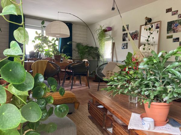 Charmante maison avec grand jardin, près de la Loire à vélo