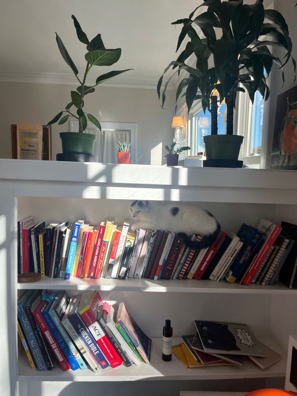 La maison de Caroline