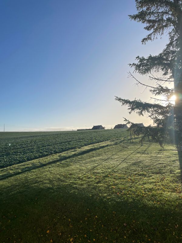 L’appartement de Mélanie