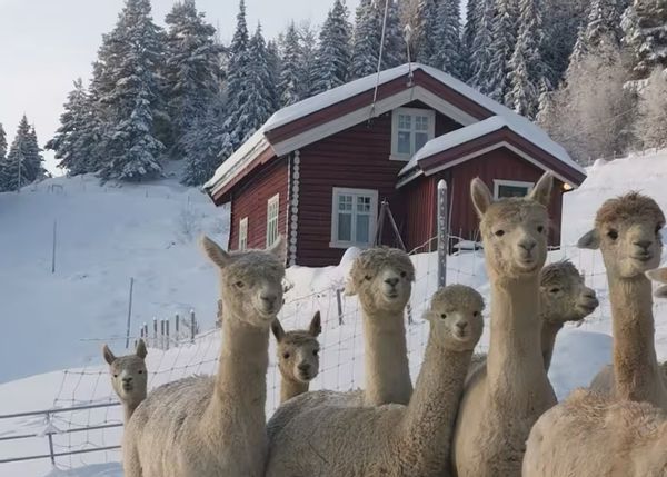 La maison de Nils Aleksander