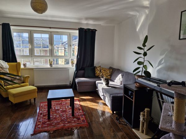 Charmant appart bord de rivière avec vue, quartier central & historique, pour amoureux des chats