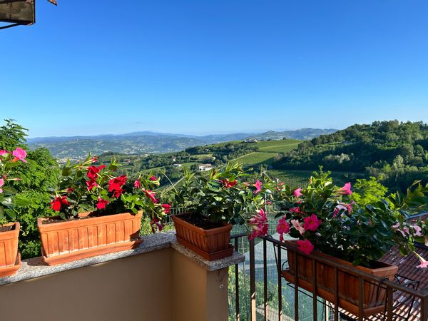 La maison de Shannon