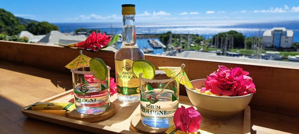 Appartement 1 chambre,raffiné offrant une vue mer panoramique sur les eaux turquoise des Caraïbes.