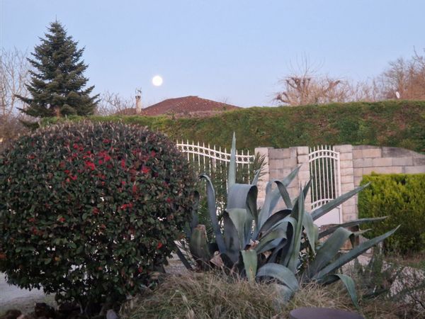 maison à Trentels, France très calme entre campagne et ville avec piscine très spacieux