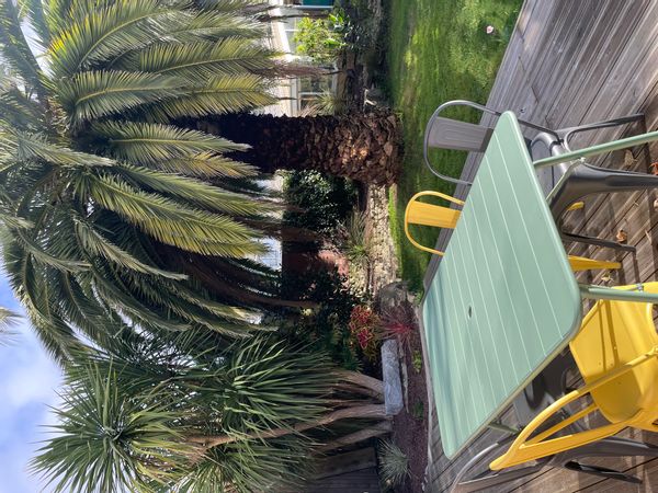 Notre cocon avec terrasse et jardin privatifs avec palmier, profitez des plages en quelques minutes.