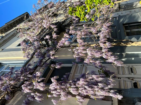 Maison unifamiliale 3 chambres en plein cœur de Bruxelles