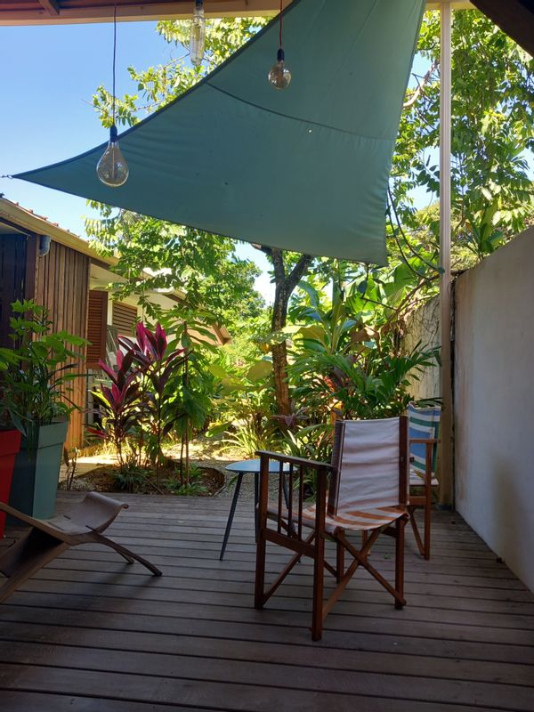 La chouette à lunettes