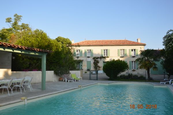 AU MILIEU DES VIGNES DE COGNAC