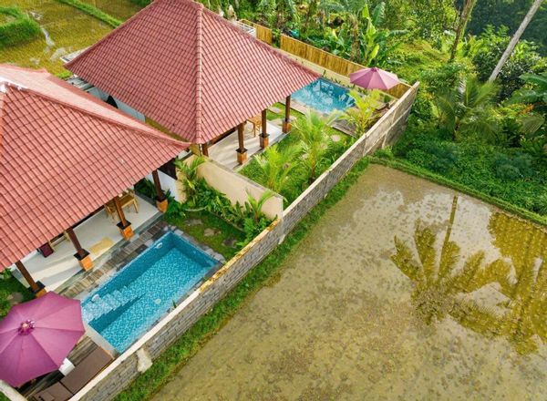 Villa van Lien, in een heerlijk rustieke omgeving tussen de prachtige rijstvelden in Bali.