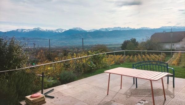 Dans les montagnes et la vigne