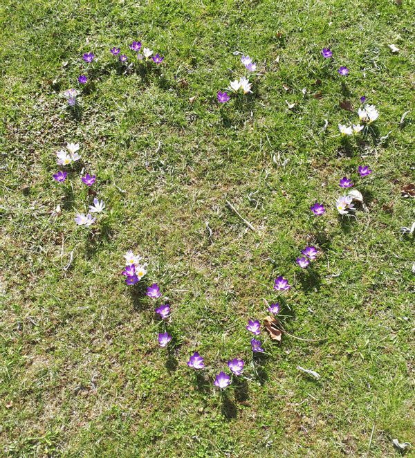 La maison de (Andrea) Frieda