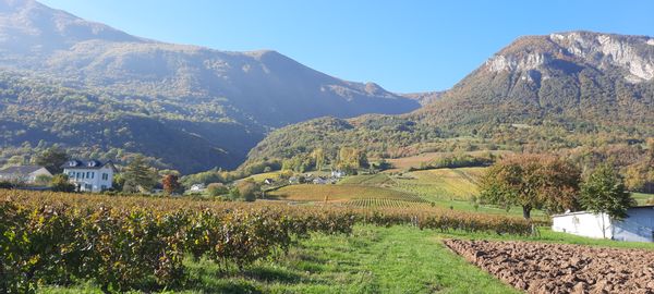 Au pied du parc naturel des Bauges. Nous vous accueillons à Saint jean de la porte.