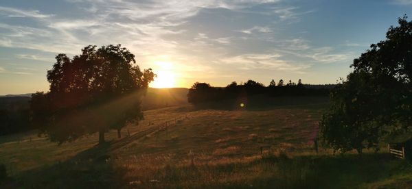 Chalet du menil au bout du chemin