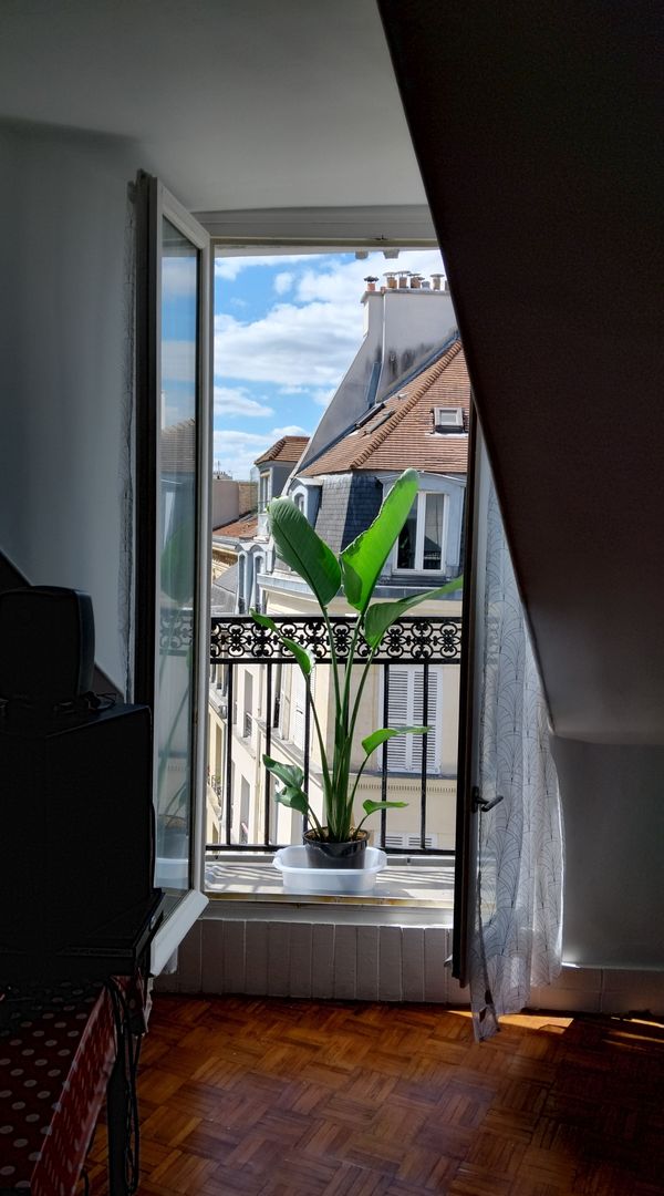 Appartement Paris hypercentre avec vue -- 
パリ中心部の眺めの良いアパート