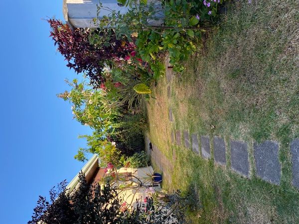 Maison créole de charme à Saint-André : entre mer, montagnes et authenticité réunionnaise