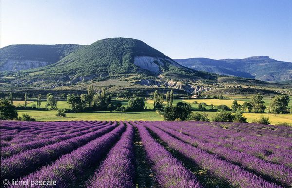 Grande villa dans la Drôme proche de l'Ardèche et Montélimar