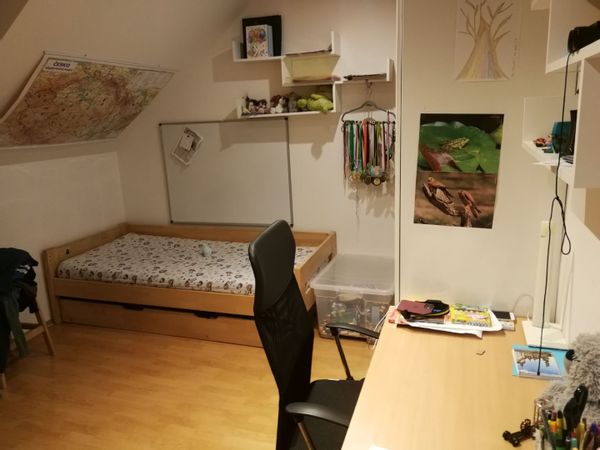 Petra and Radim's house