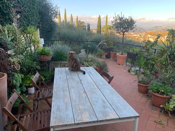 La maison de Costanza