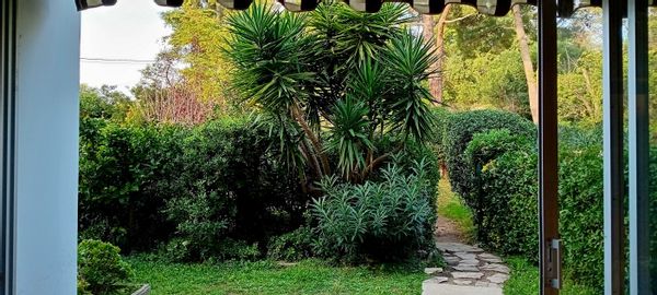 L'appartement de Marianne et Pierre