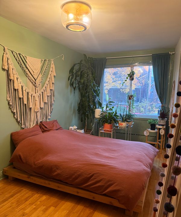 Chez Katérie et Dexter 