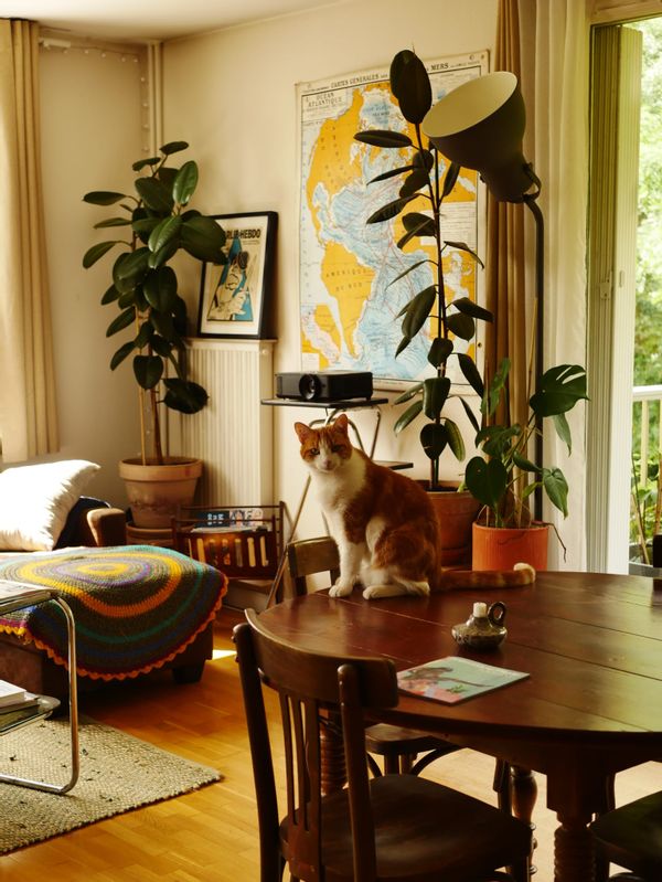 Chambre double ou canapé chez Valentin