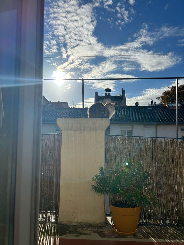 APPARTEMENT DESIGN ET COSY, QUARTIER RÉFORMÉ