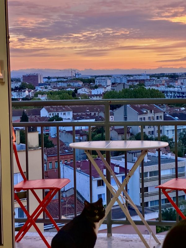 Duplex centre-ville de Toulouse avec une magnifique vue dégagée sans vis à vis