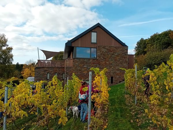 Villa dans les vignes