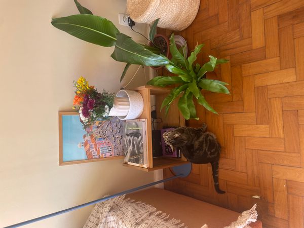 Bruna and Felipes hus