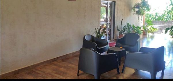 Patricia estelas hus