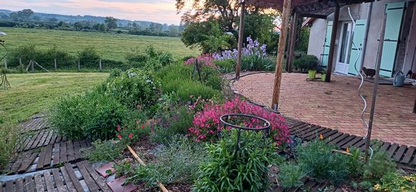 La maison de CORINNE Vue imprenable sur les pâturages du Charolais Brionnais 300m de la voie verte