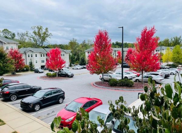 La chambre privée de Nafiz Ahmed