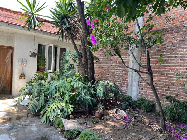 La maison de Daniela