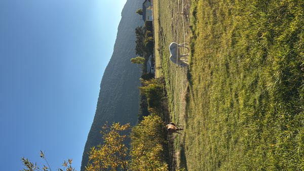 La maison de Bruno et Delphine est une maison de ville dans un village de l’arrière pays grassois