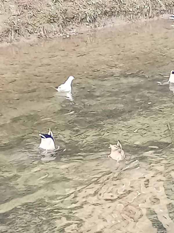 La maison de Francesca