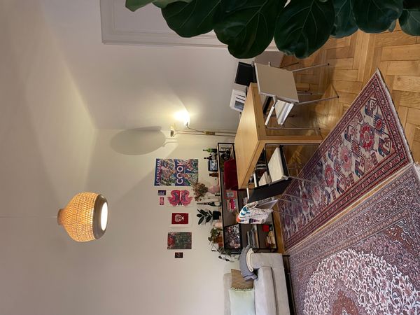 Cozy flat in the heart of Vienna