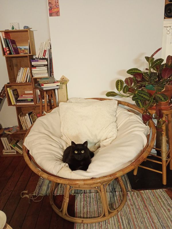 Petit appartement 1 chambre, cosy, à côté du parvis de Saint-Gilles, Bruxelles.